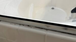 Mold on Caulking in Shower